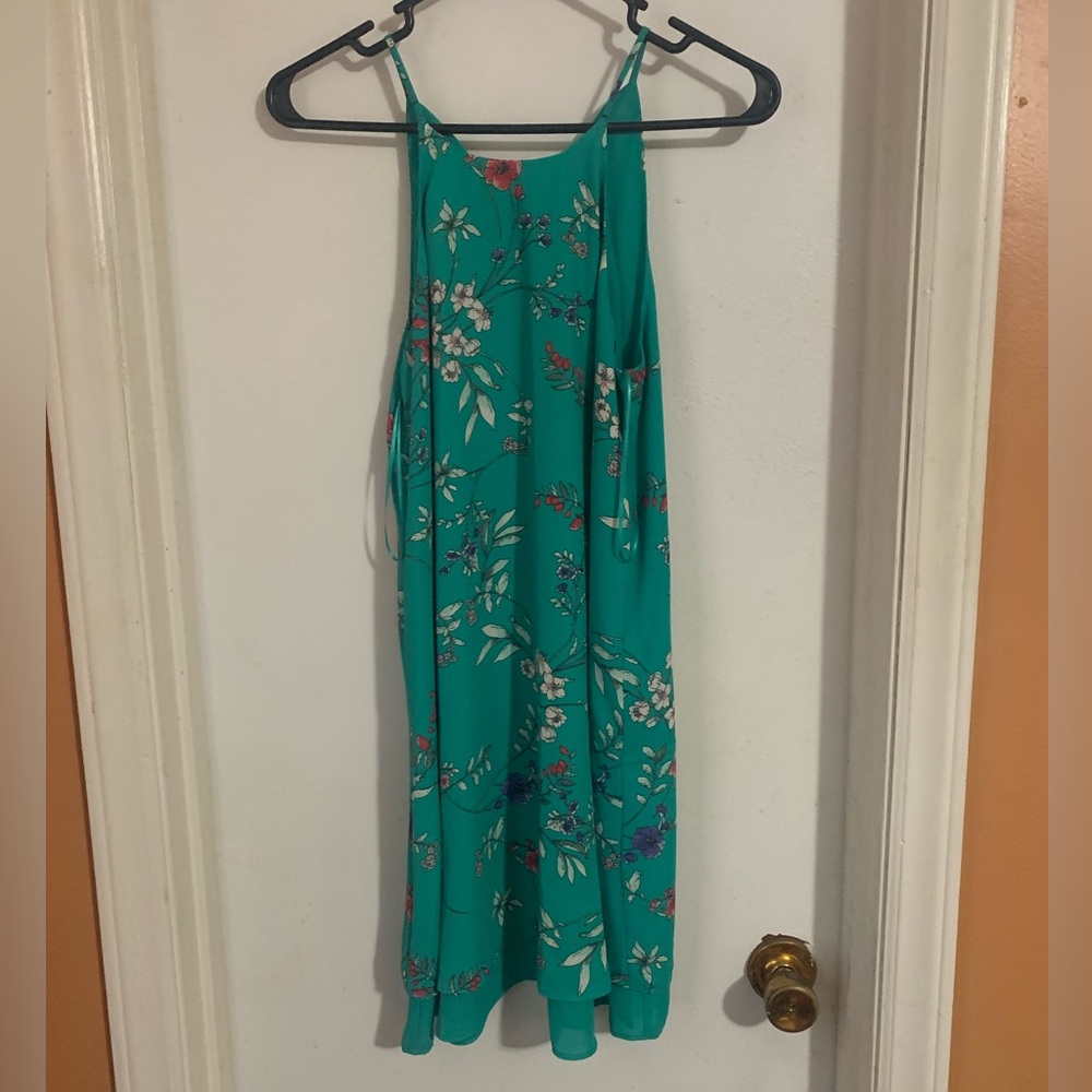 Pink Rose Teal Floral Dress